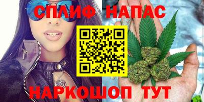 стаф Бузулук